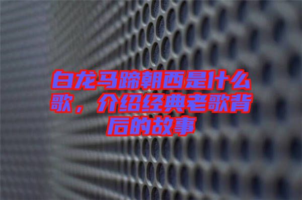 白龍馬蹄朝西是什么歌，介紹經(jīng)典老歌背后的故事