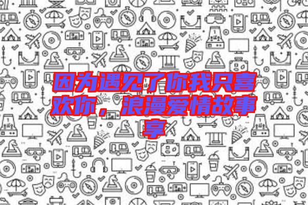 因為遇見了你我只喜歡你，浪漫愛情故事享