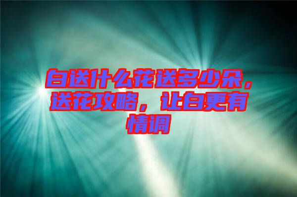 白送什么花送多少朵，送花攻略，讓白更有情調(diào)