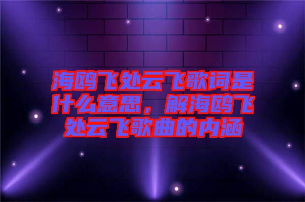 海鷗飛處云飛歌詞是什么意思，解海鷗飛處云飛歌曲的內(nèi)涵