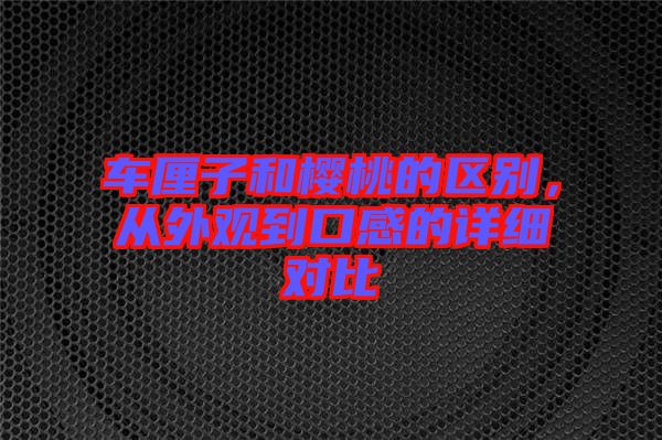 車厘子和櫻桃的區(qū)別，從外觀到口感的詳細對比