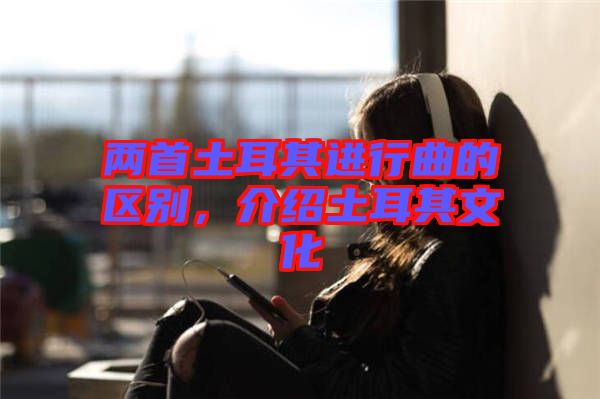 兩首土耳其進(jìn)行曲的區(qū)別，介紹土耳其文化