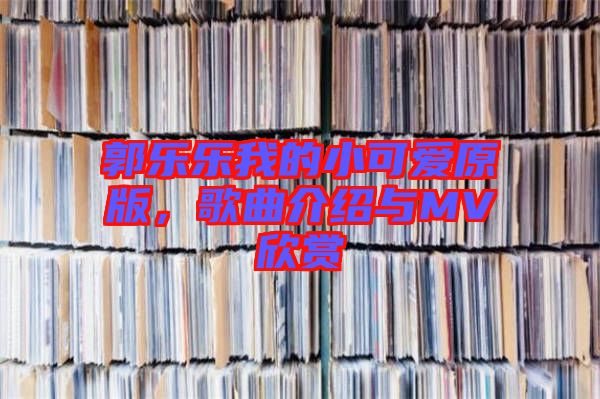 郭樂樂我的小可愛原版，歌曲介紹與MV欣賞