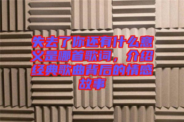 失去了你還有什么意義是哪首歌詞，介紹經(jīng)典歌曲背后的情感故事