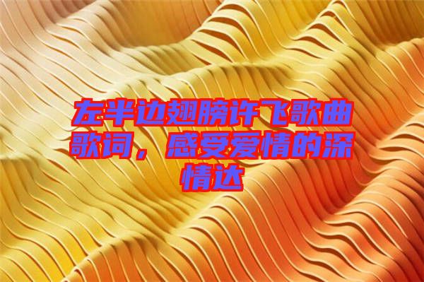 左半邊翅膀許飛歌曲歌詞，感受愛(ài)情的深情達(dá)