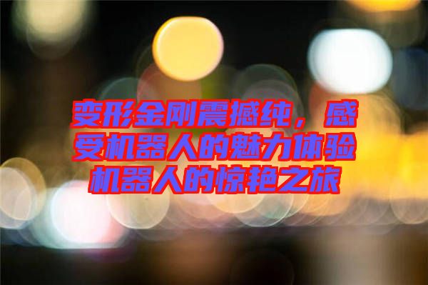 變形金剛震撼純，感受機器人的魅力體驗機器人的驚艷之旅