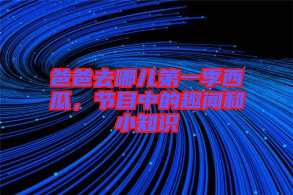 爸爸去哪兒第一季西瓜，節(jié)目中的趣聞和小知識(shí)
