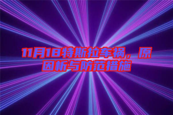 11月18特斯拉車(chē)禍，原因析與防范措施