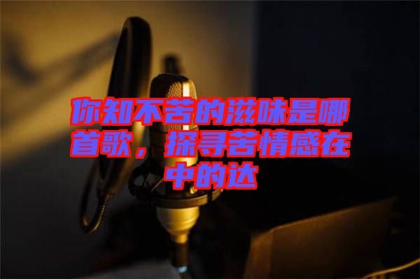 你知不苦的滋味是哪首歌，探尋苦情感在中的達