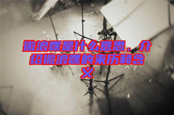 撒浪嘿是什么意思，介紹撒浪嘿的來歷和含義
