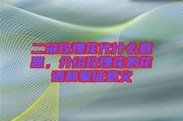 二朵玫瑰花代什么意思，介紹玫瑰花的花語和象征意義