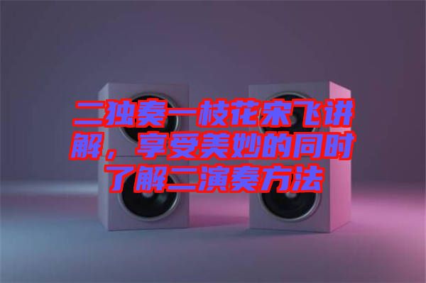 二獨(dú)奏一枝花宋飛講解，享受美妙的同時(shí)了解二演奏方法