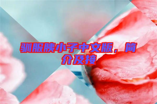 馴服胰小子中文版，簡介及接
