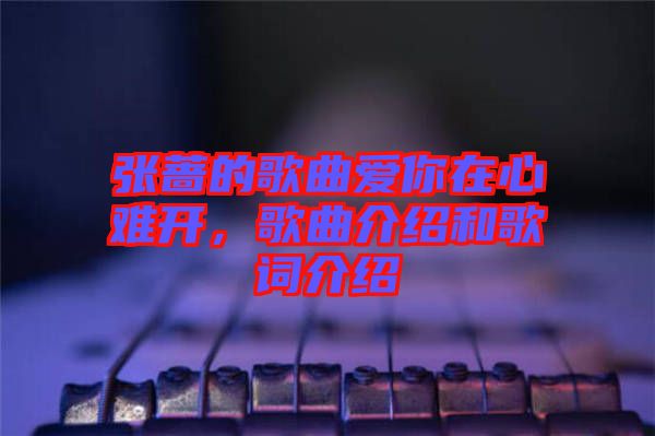 張薔的歌曲愛你在心難開，歌曲介紹和歌詞介紹