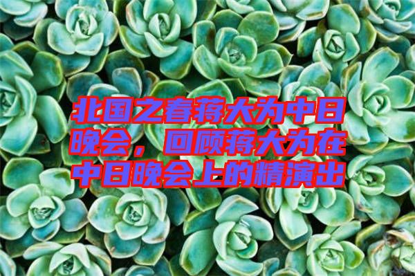 北國(guó)之春蔣大為中日晚會(huì)，回顧蔣大為在中日晚會(huì)上的精演出