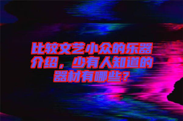 比較文藝小眾的樂器介紹，少有人知道的器材有哪些？