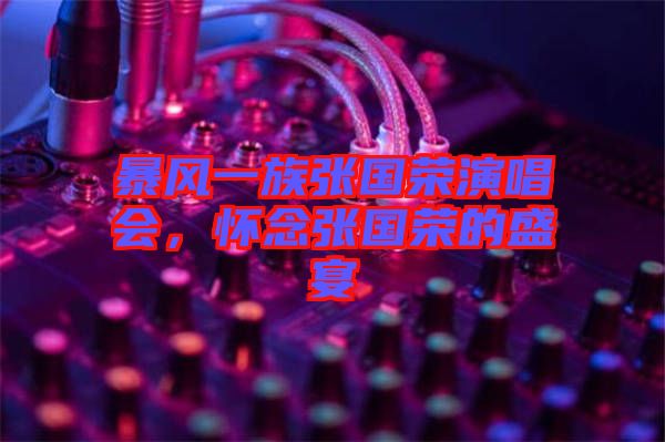暴風(fēng)一族張國(guó)榮演唱會(huì)，懷念張國(guó)榮的盛宴