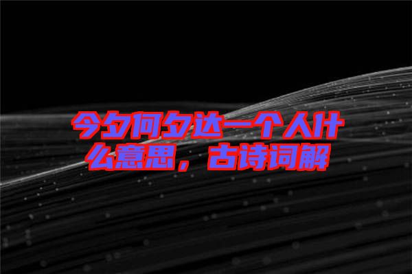 今夕何夕達(dá)一個(gè)人什么意思，古詩詞解
