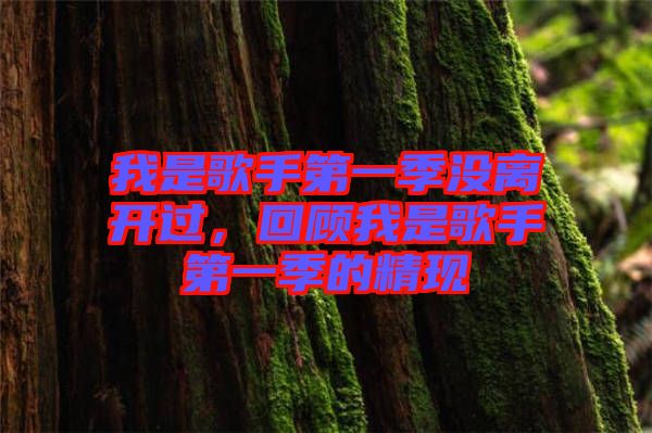 我是歌手第一季沒離開過，回顧我是歌手第一季的精現(xiàn)