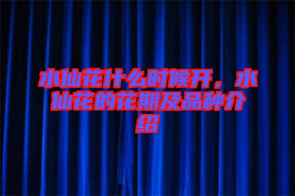 水仙花什么時候開，水仙花的花期及品種介紹