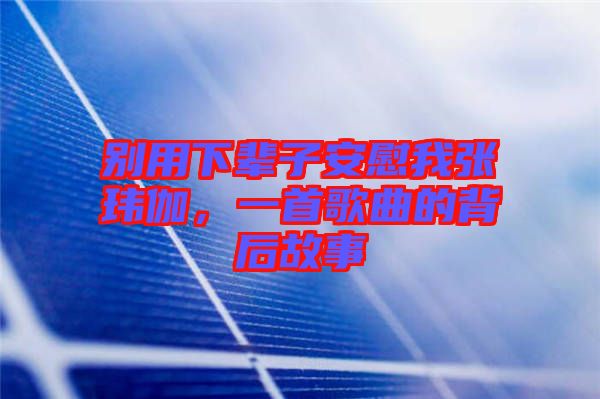 別用下輩子安慰我張瑋伽，一首歌曲的背后故事