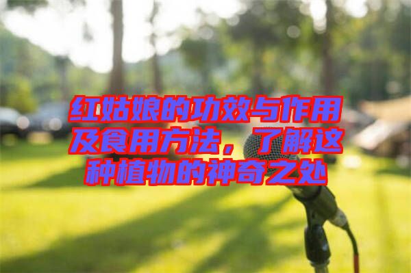 紅姑娘的功效與作用及食用方法，了解這種植物的神奇之處