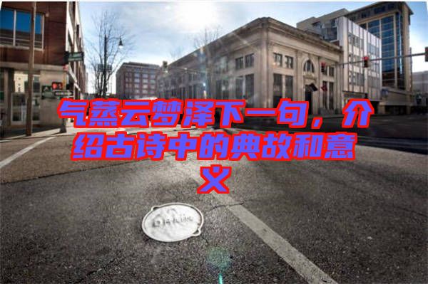 氣蒸云夢(mèng)澤下一句，介紹古詩(shī)中的典故和意義