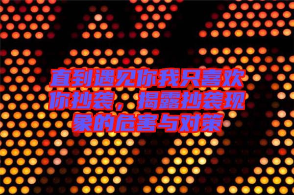 直到遇見你我只喜歡你抄襲，揭露抄襲現(xiàn)象的危害與對策
