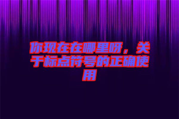 你現(xiàn)在在哪里呀，關(guān)于標點符號的正確使用