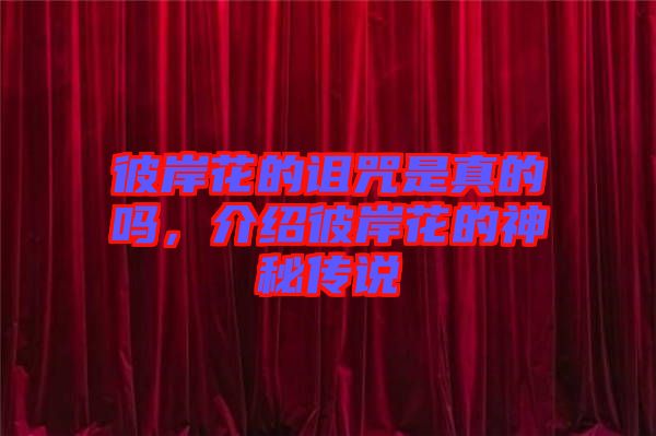 彼岸花的詛咒是真的嗎，介紹彼岸花的神秘傳說