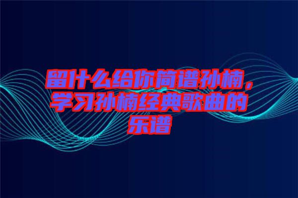 留什么給你簡(jiǎn)譜孫楠，學(xué)習(xí)孫楠經(jīng)典歌曲的樂(lè)譜