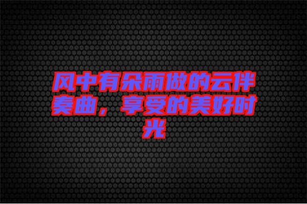 風(fēng)中有朵雨做的云伴奏曲，享受的美好時光
