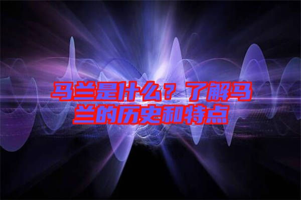 馬蘭是什么？了解馬蘭的歷史和特點