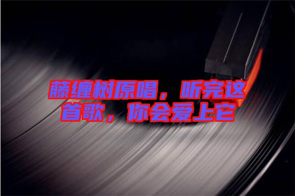 藤纏樹原唱，聽完這首歌，你會愛上它