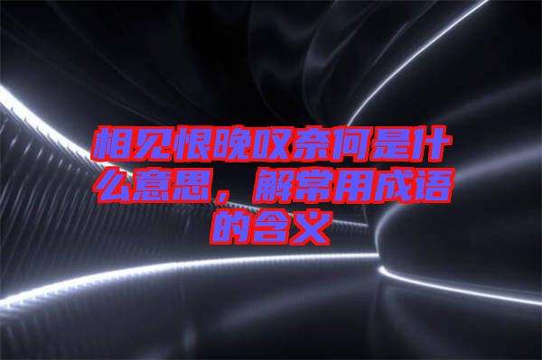 相見恨晚嘆奈何是什么意思，解常用成語的含義