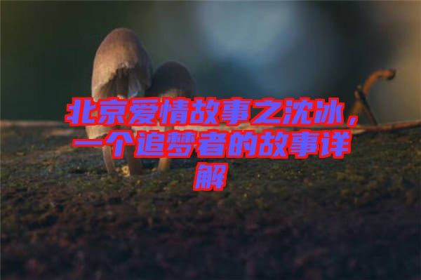 北京愛情故事之沈冰，一個追夢者的故事詳解