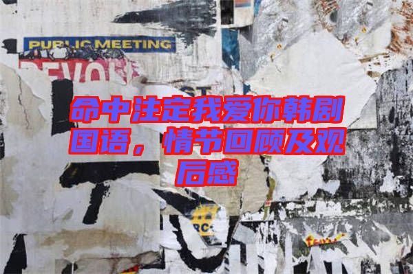 命中注定我愛你韓劇國語，情節(jié)回顧及觀后感