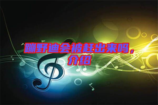 蹦野迪會(huì)被趕出來(lái)嗎，介紹