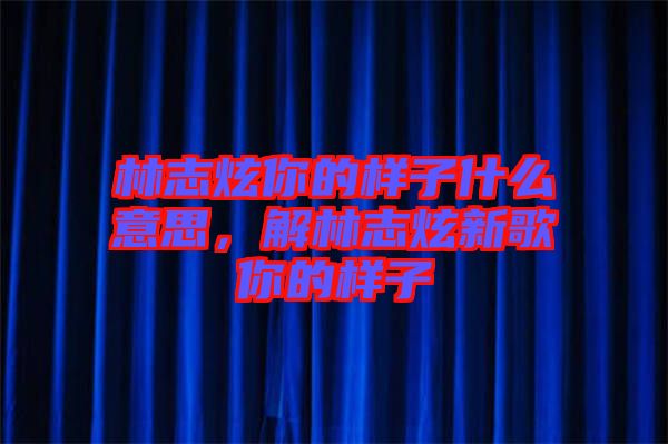 林志炫你的樣子什么意思，解林志炫新歌你的樣子