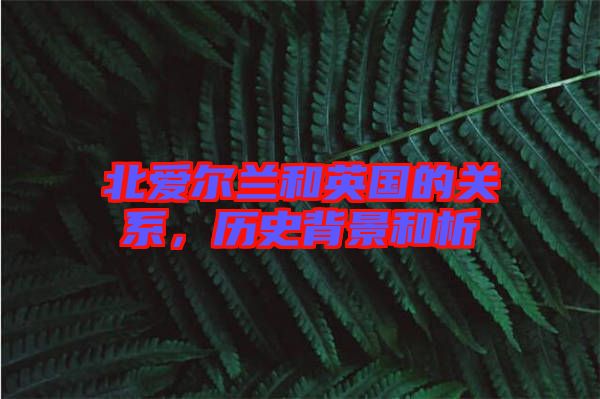 北愛爾蘭和英國(guó)的關(guān)系，歷史背景和析
