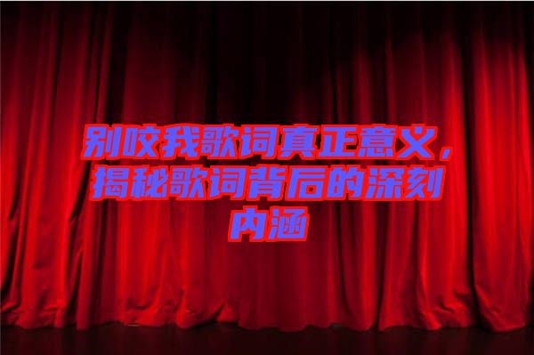 別咬我歌詞真正意義，揭秘歌詞背后的深刻內(nèi)涵