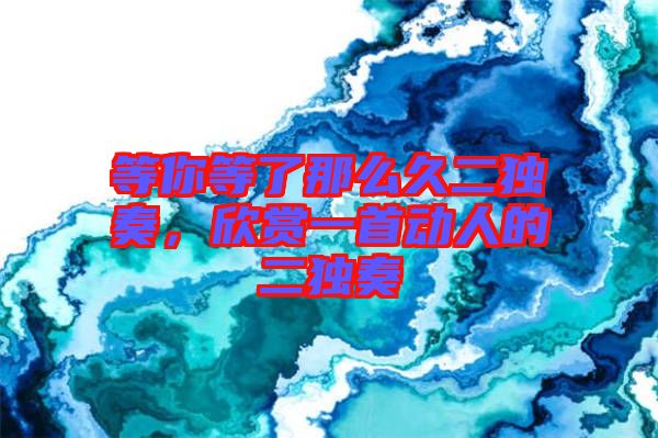 等你等了那么久二獨(dú)奏，欣賞一首動(dòng)人的二獨(dú)奏