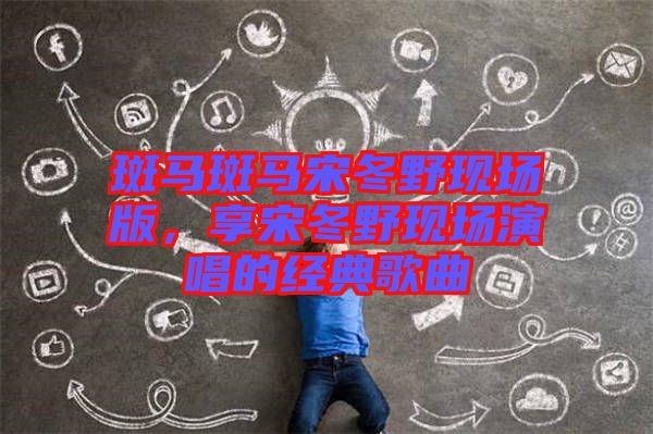 斑馬斑馬宋冬野現(xiàn)場版，享宋冬野現(xiàn)場演唱的經(jīng)典歌曲