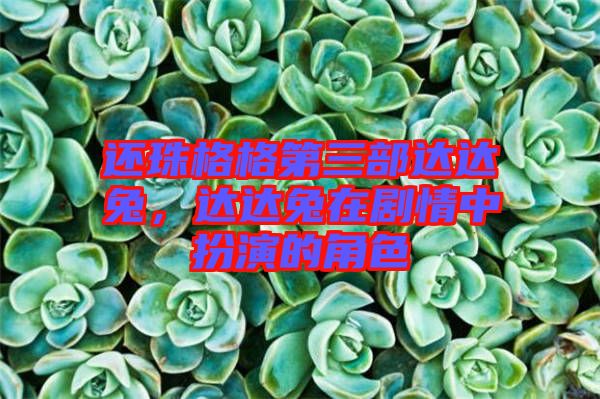 還珠格格第三部達達兔，達達兔在劇情中扮演的角色