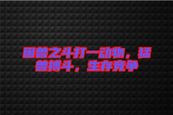 困獸之斗打一動物，猛獸搏斗，生存競爭