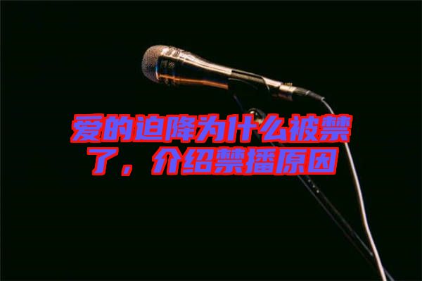 愛的迫降為什么被禁了，介紹禁播原因