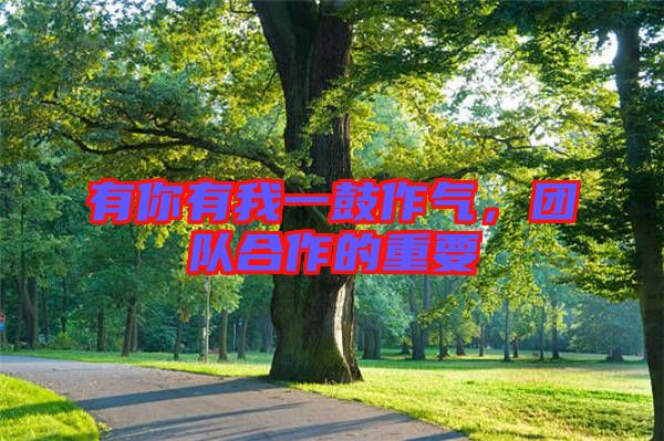 有你有我一鼓作氣，團(tuán)隊(duì)合作的重要