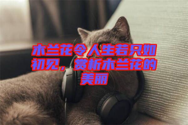 木蘭花令人生若只如初見，賞析木蘭花的美麗