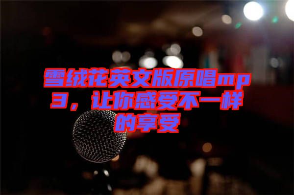 雪絨花英文版原唱mp3，讓你感受不一樣的享受