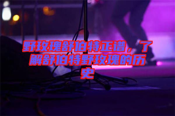 野玫瑰舒伯特正譜，了解舒伯特野玫瑰的歷史